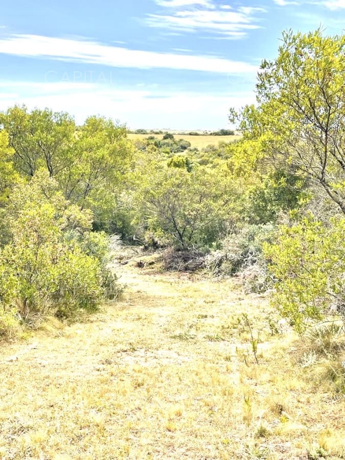 Chacra en venta de 5 hectáreas