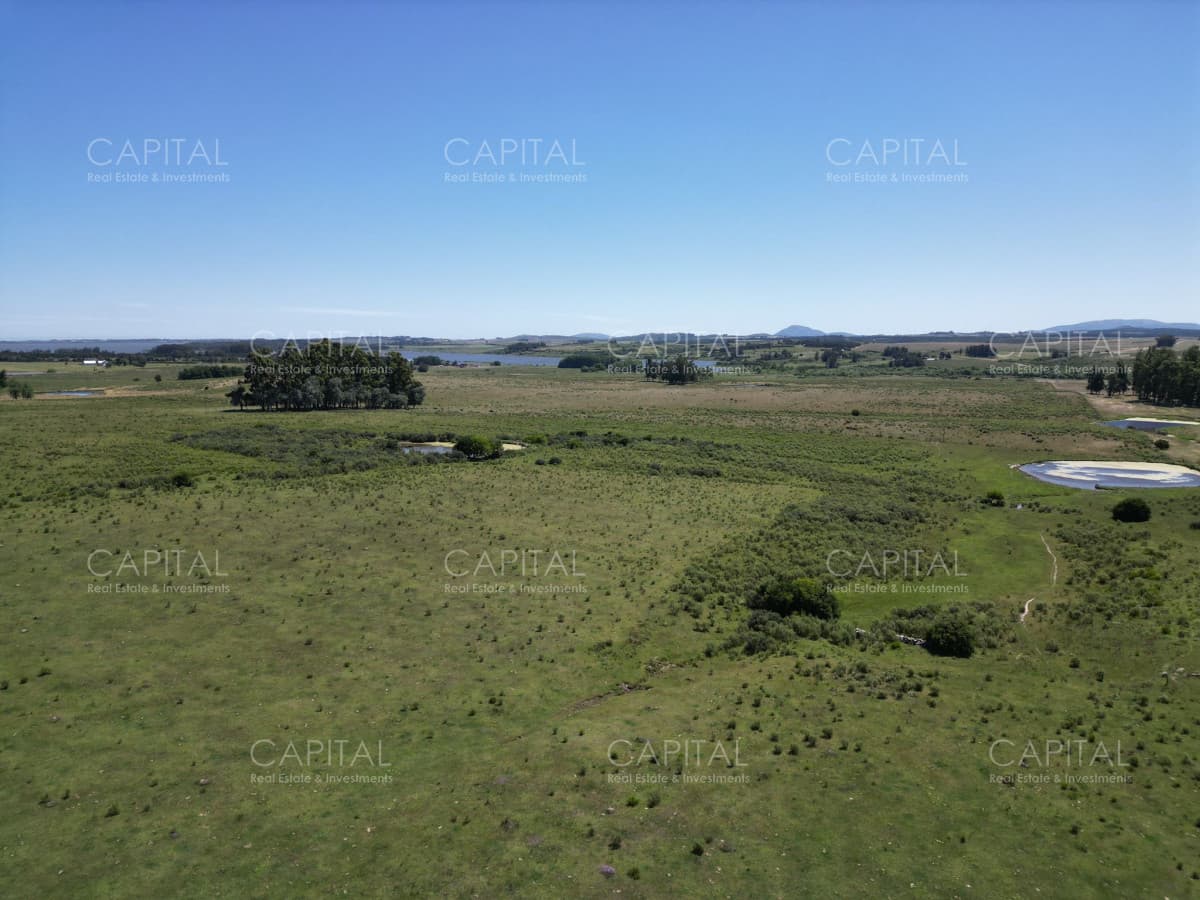 Campo en venta en Laguna del Sauce, Punta del Este