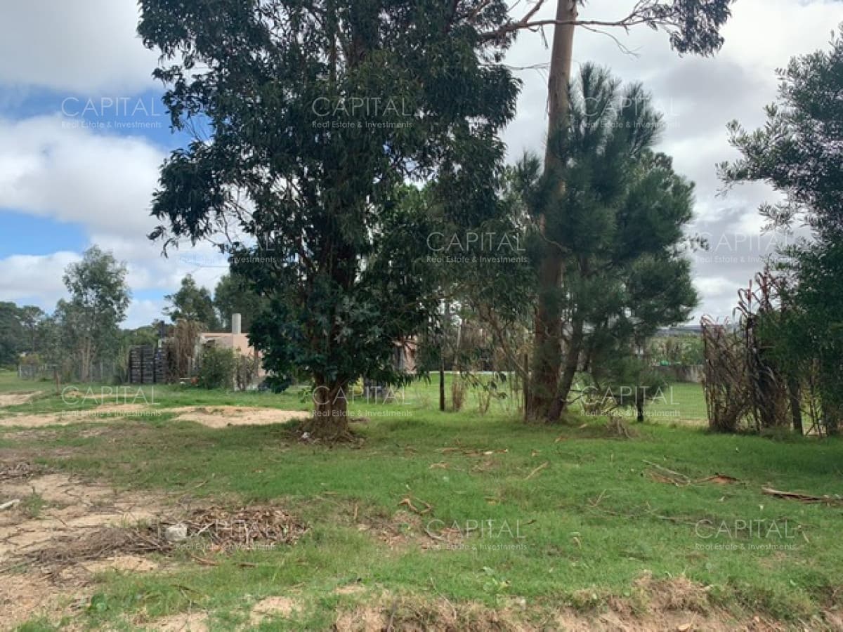 Lindo terreno en venta de 772 m2 barrio Privado LA RESIDENCE, Punta del Este