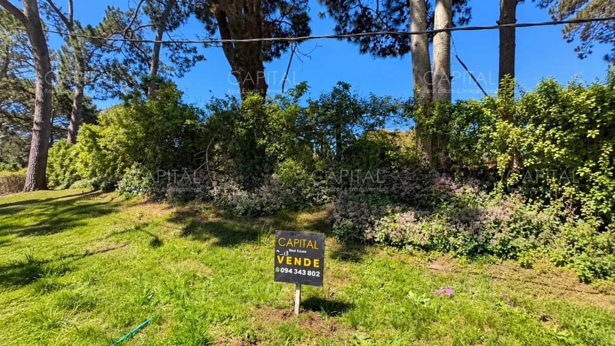 Terreno en venta en barrio Cantegril Punta del Este