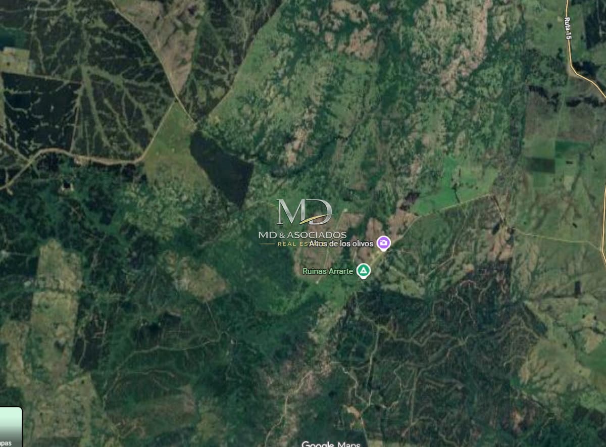 Campo Forestal en Rocha REF:9575