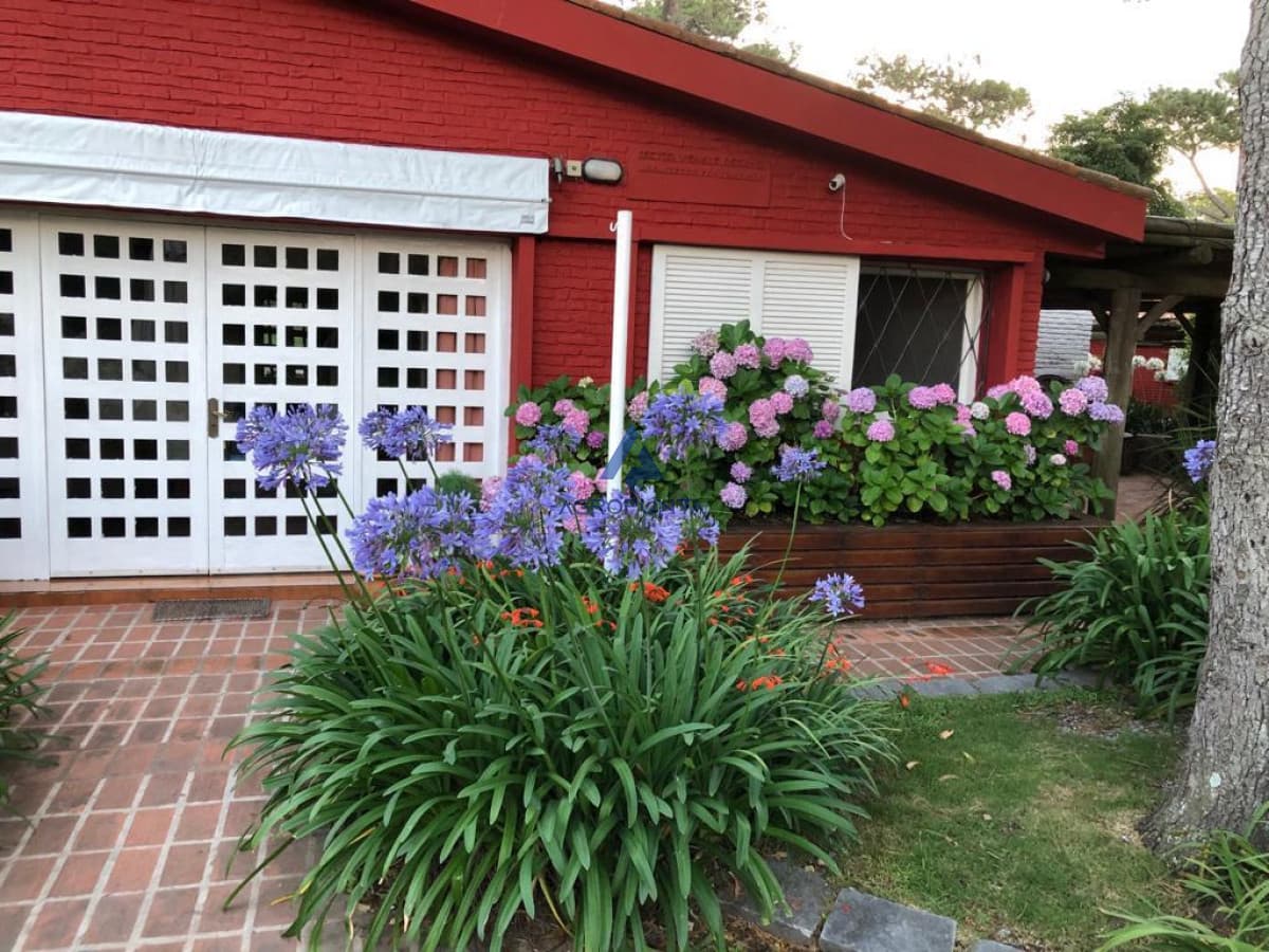 Casa en San Rafael Punta del Este 4 dormitorios Alquiler Temporal  -