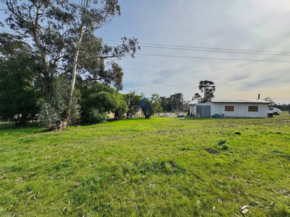 Chacra en Venta Ruta 9 5 hectáreas