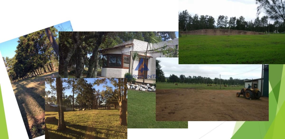 Chacra en venta, ruta 9