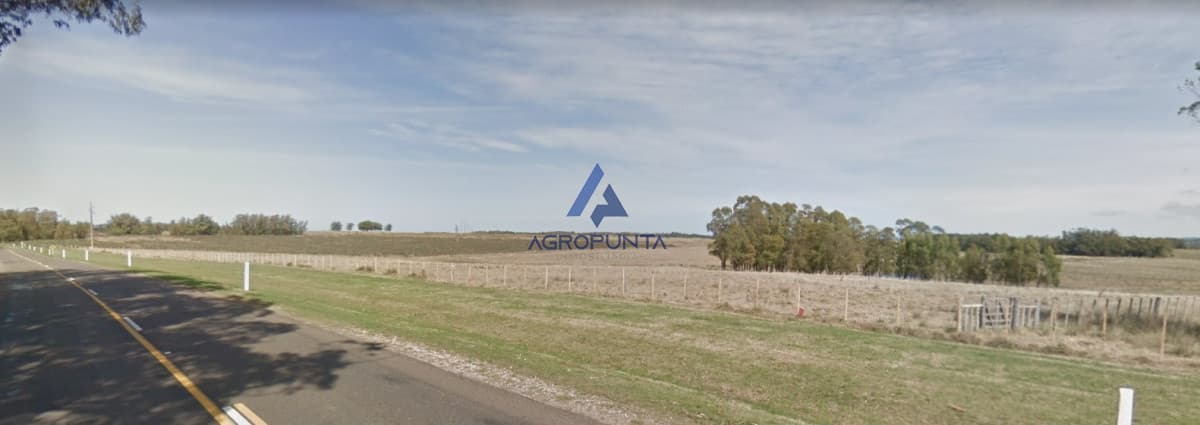 Venta de Chacra 10has sobre Ruta 104