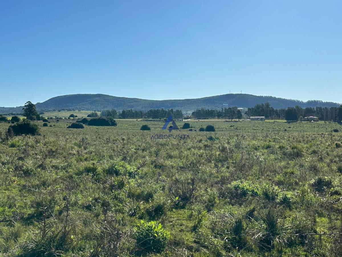 67 Hás PUEBLO EDÉN ALTO ÍNDICE CONEAT