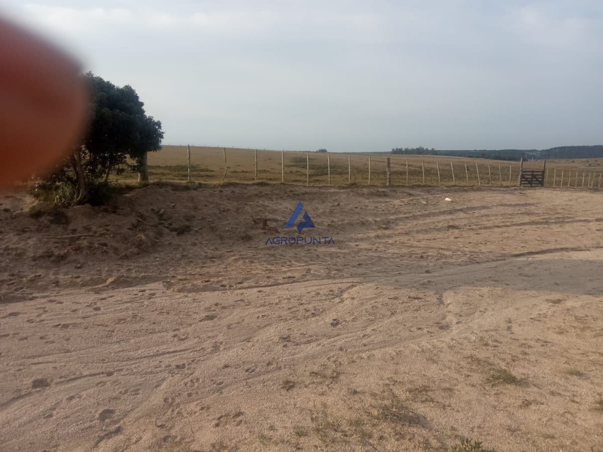 Campo en venta!