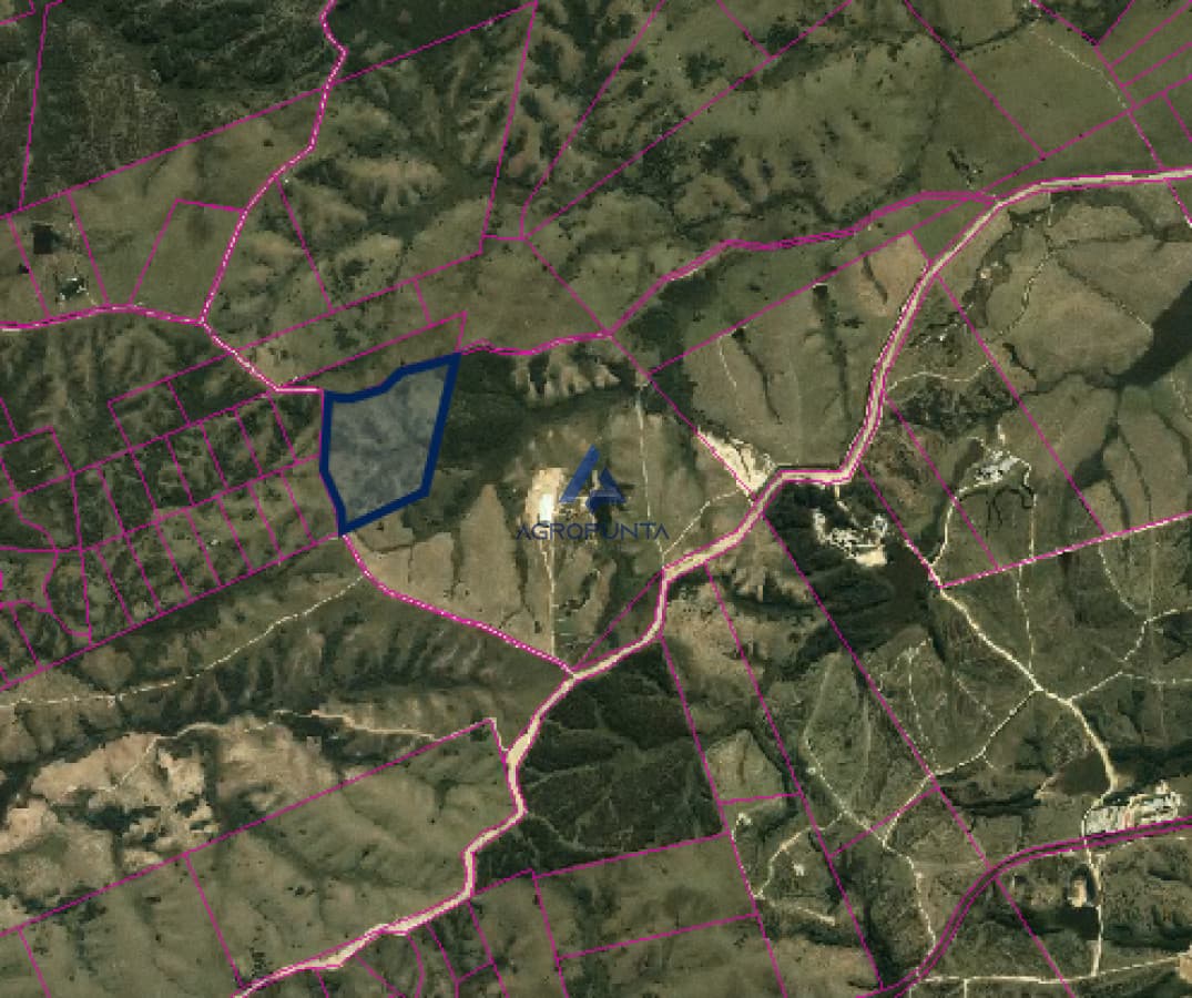 Campo en Venta Garzón 25has