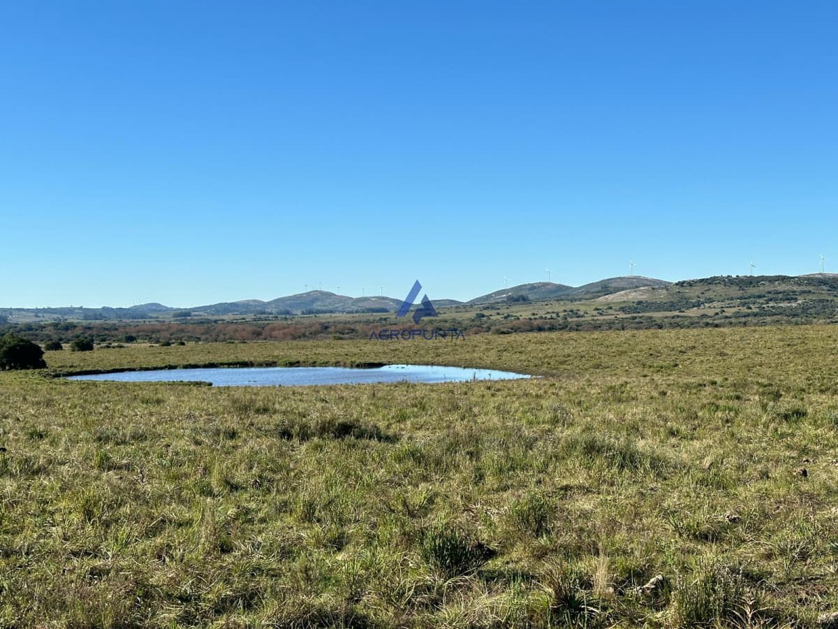 67 Hás PUEBLO EDÉN ALTO ÍNDICE CONEAT
