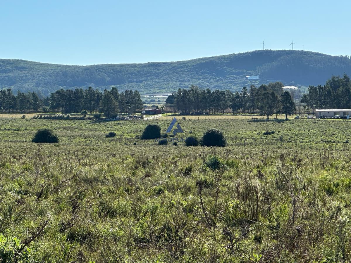 67 Hás PUEBLO EDÉN ALTO ÍNDICE CONEAT