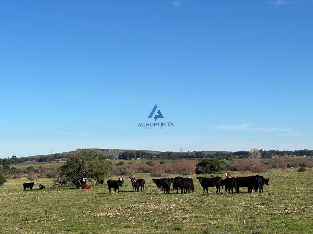 42 Hás Pueblo Edén, Buen índice CONEAT, Excelentes Vistas