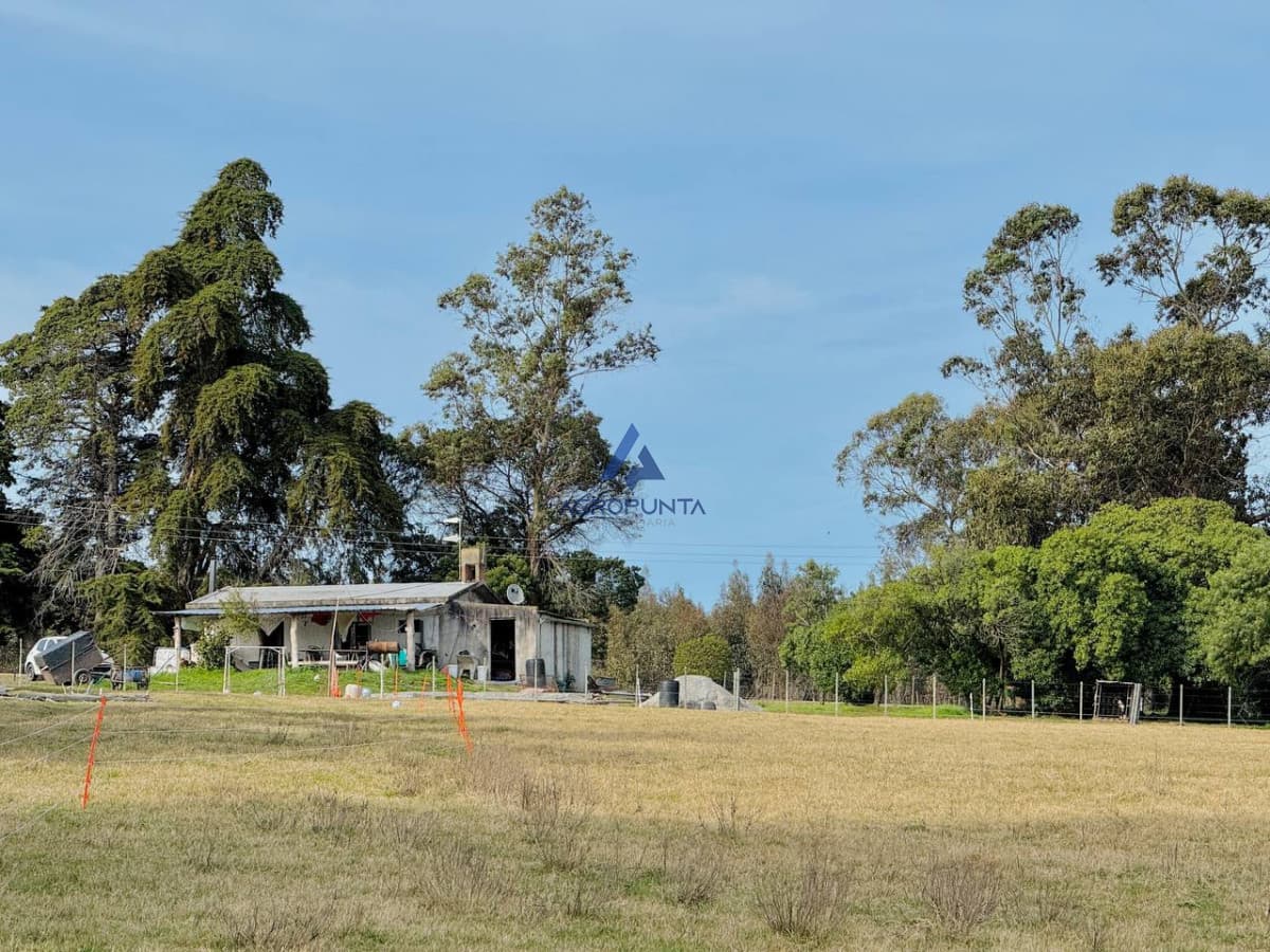 Campo en Venta 5has Sobre ruta 9