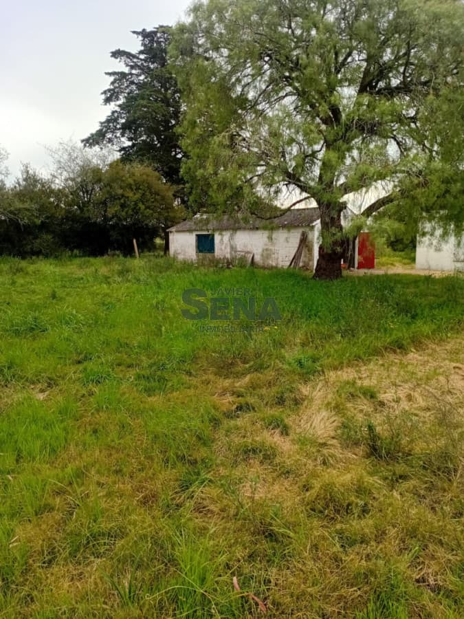 Chacra en venta en San Carlos, 2.900 hectareas, casa y galpon.