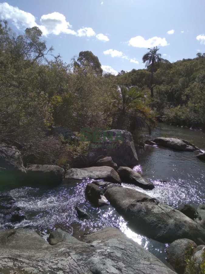 Venta de chacra en las cañas, 10 hectareas con cañada y mejoras.