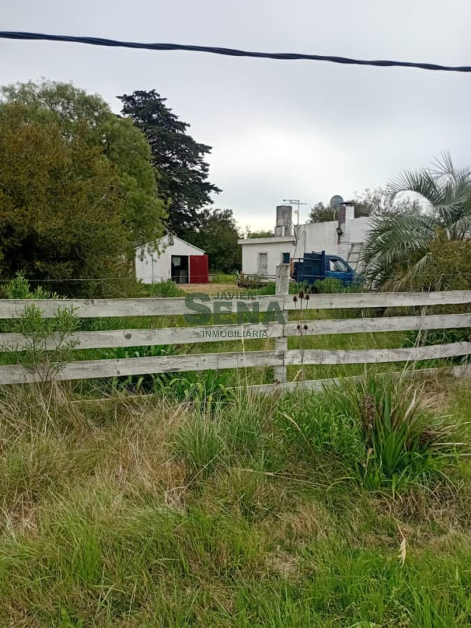 Chacra en venta en San Carlos, 2.900 hectareas, casa y galpon.