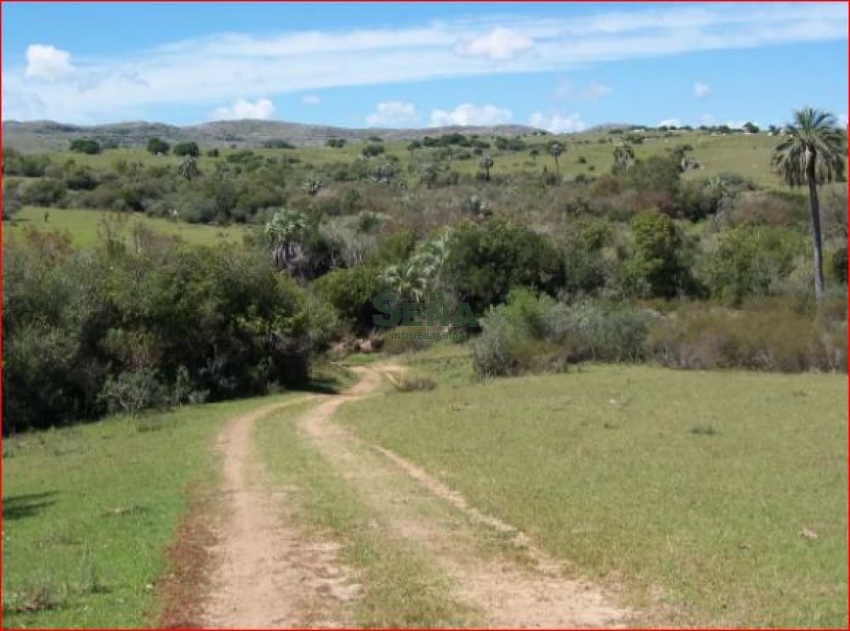 Venta de chacra en las cañas, 10 hectareas con cañada y mejoras.