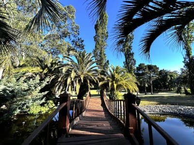 Oportunidad en venta casa con gran terreno de mas de 1300 m2 a metros del Golf de Punta del Este  -