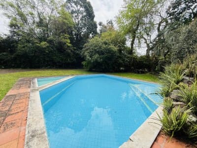 Punta del Este  -