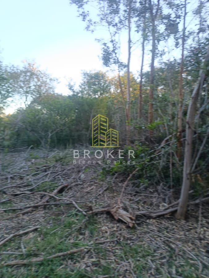 Venta de terreno en Balneario San Luis al sur 432 m2