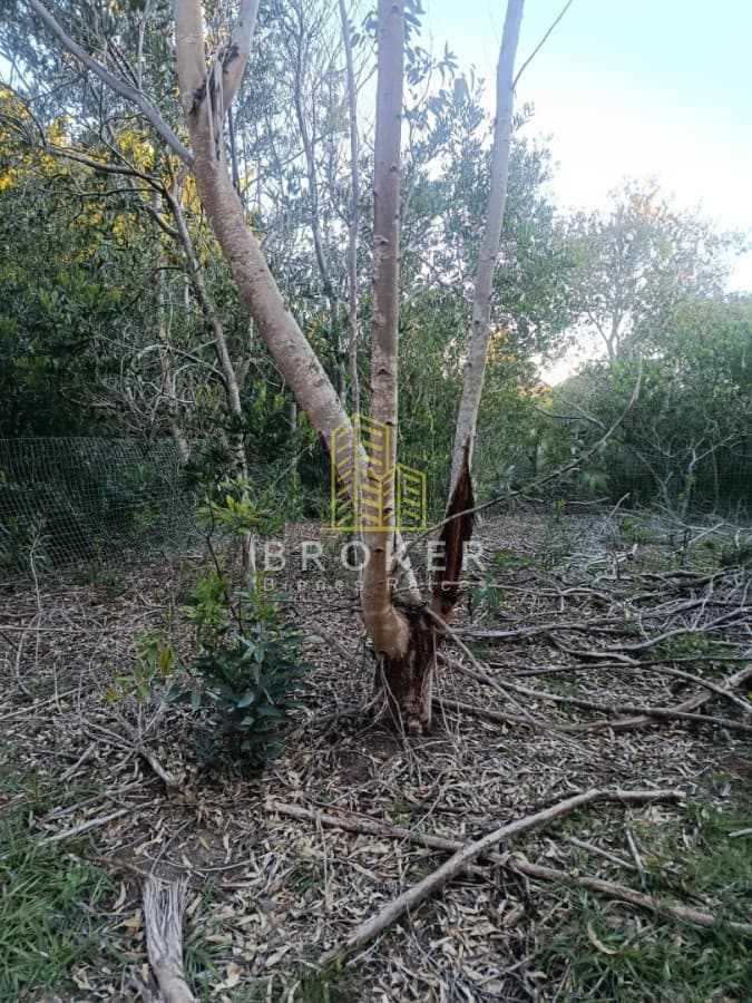 Venta de terreno en Balneario San Luis al sur 432 m2