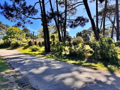 Lote en Jardines de Cordoba